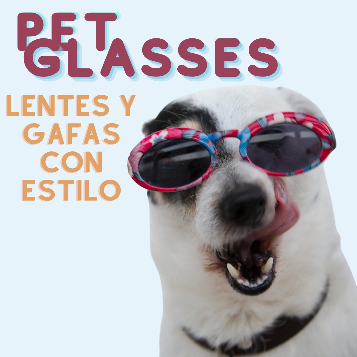 Pet Glasses
