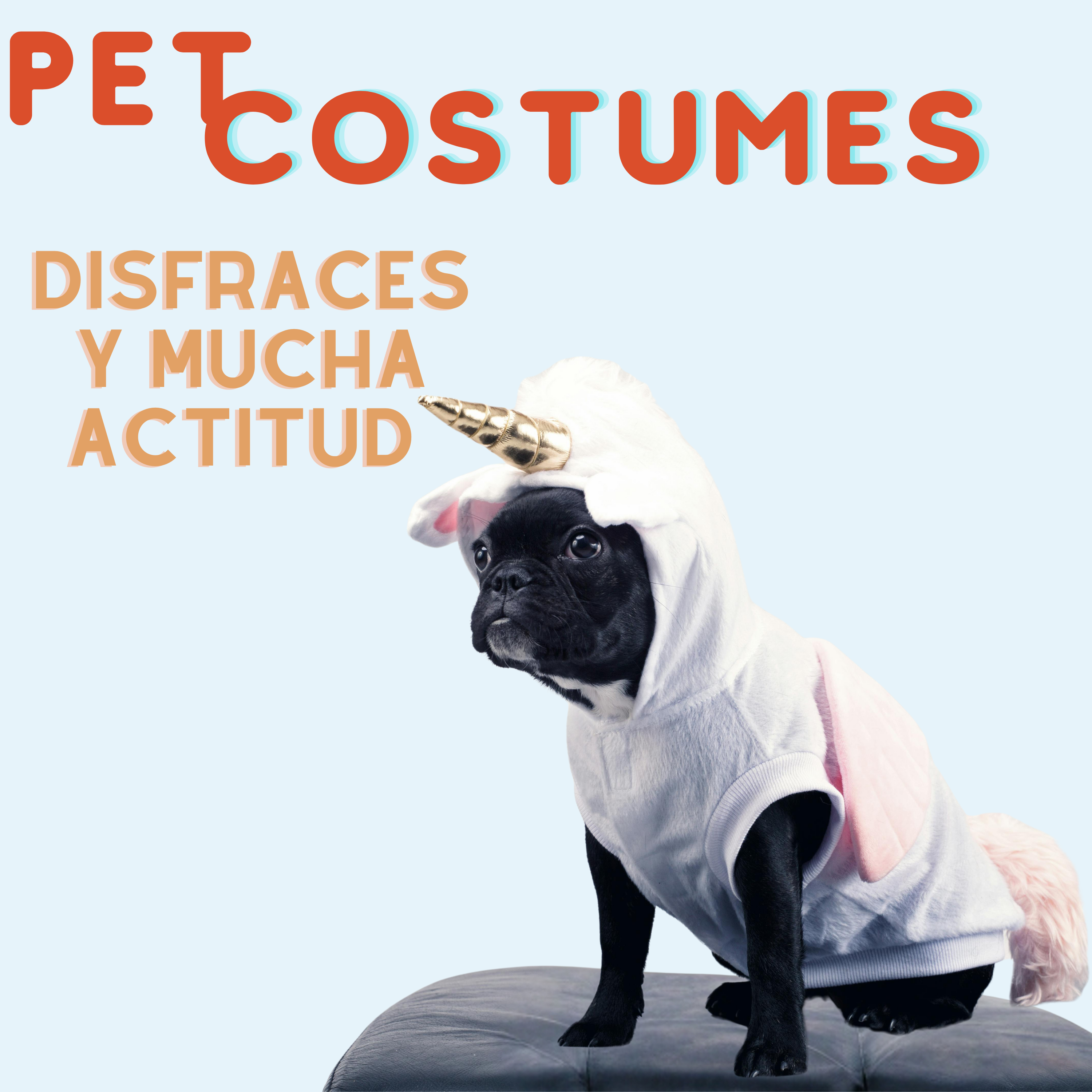 Pet Costumes