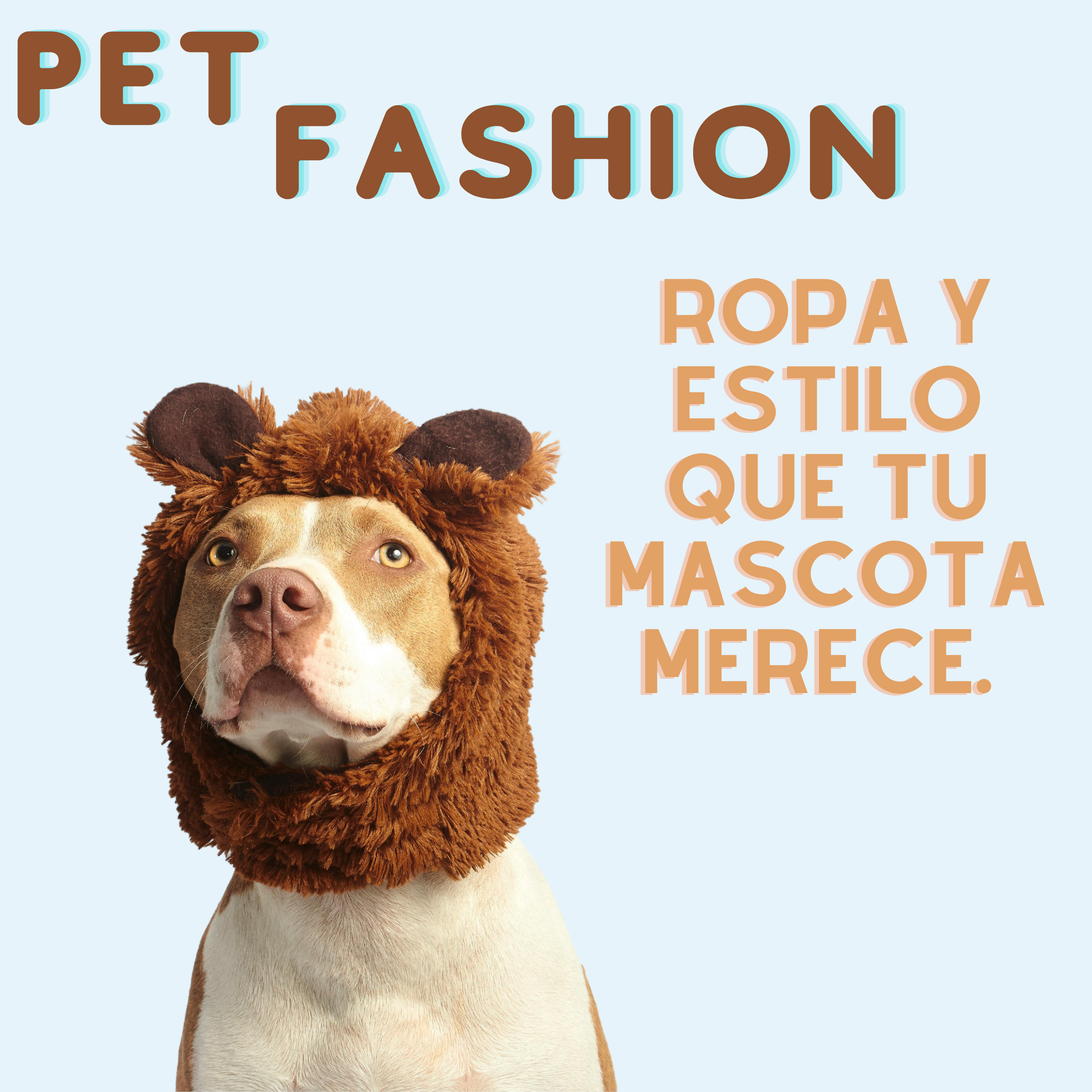 Pet Fashion