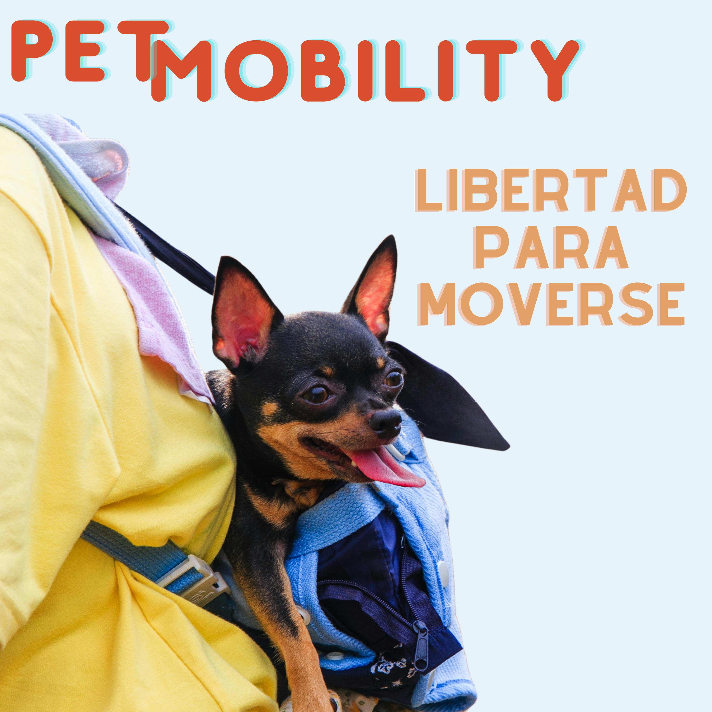 Pet Mobility