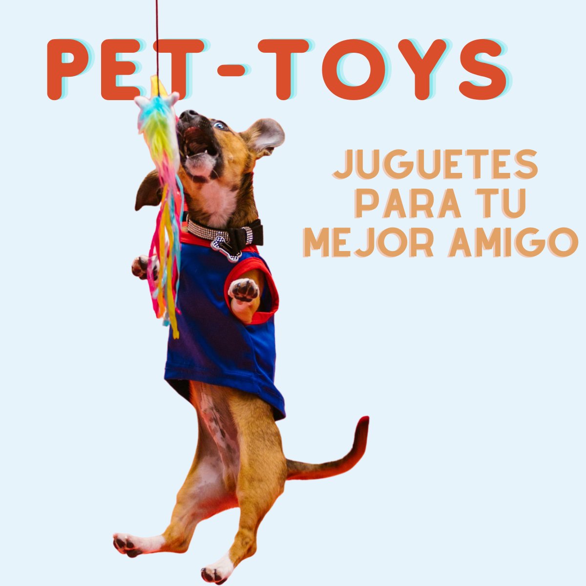Pet Toys