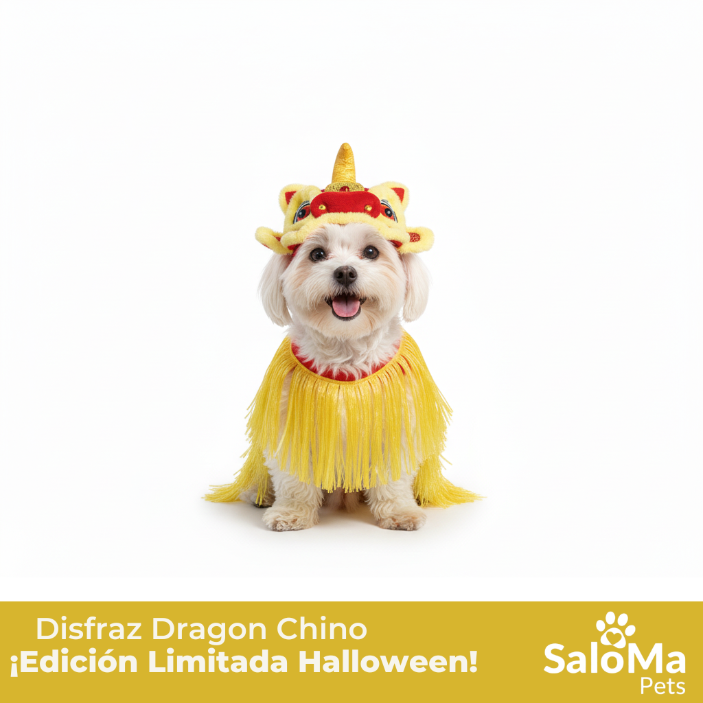 Disfraz de Dragon Chino Jizai para Mascotas