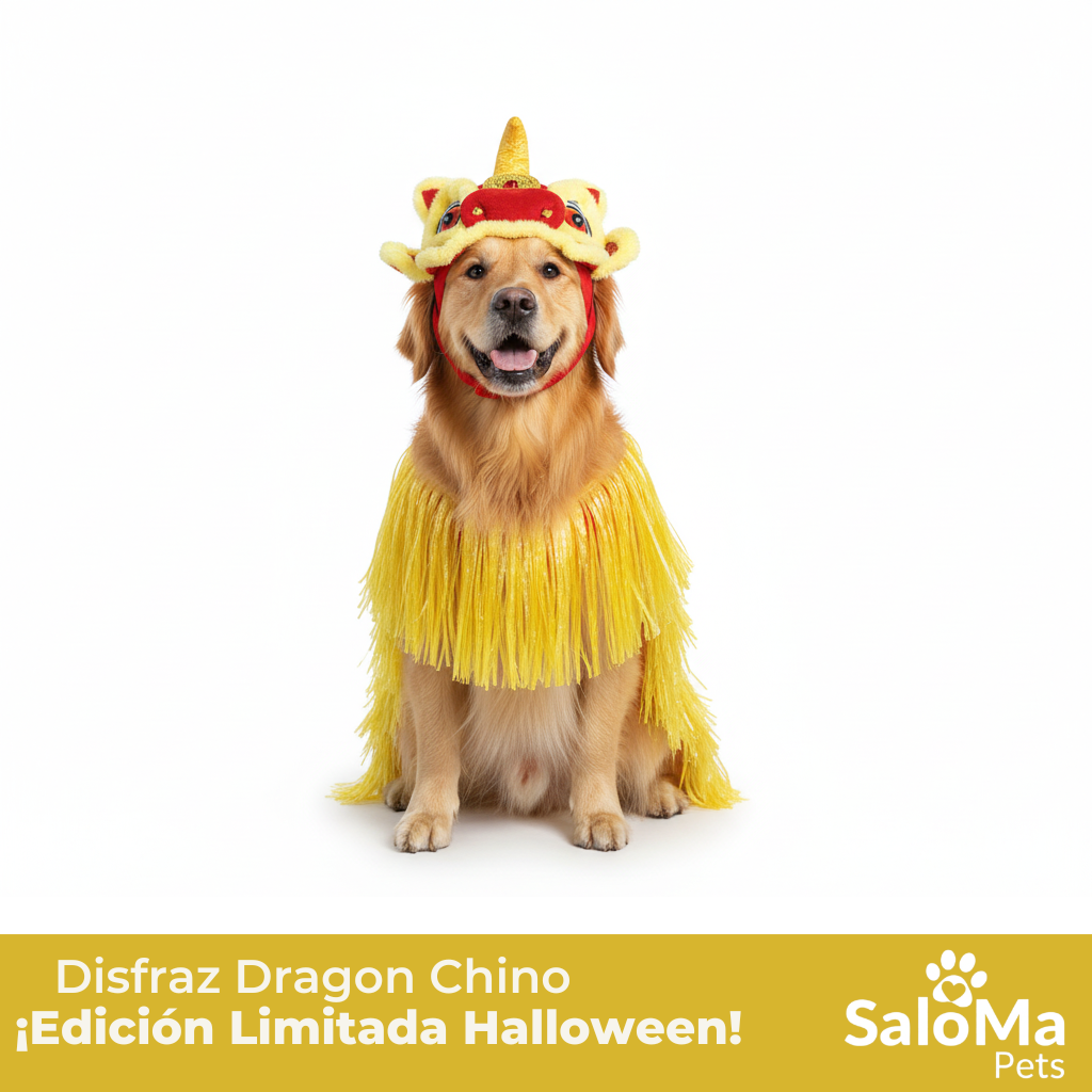 Disfraz de Dragon Chino Jizai para Mascotas