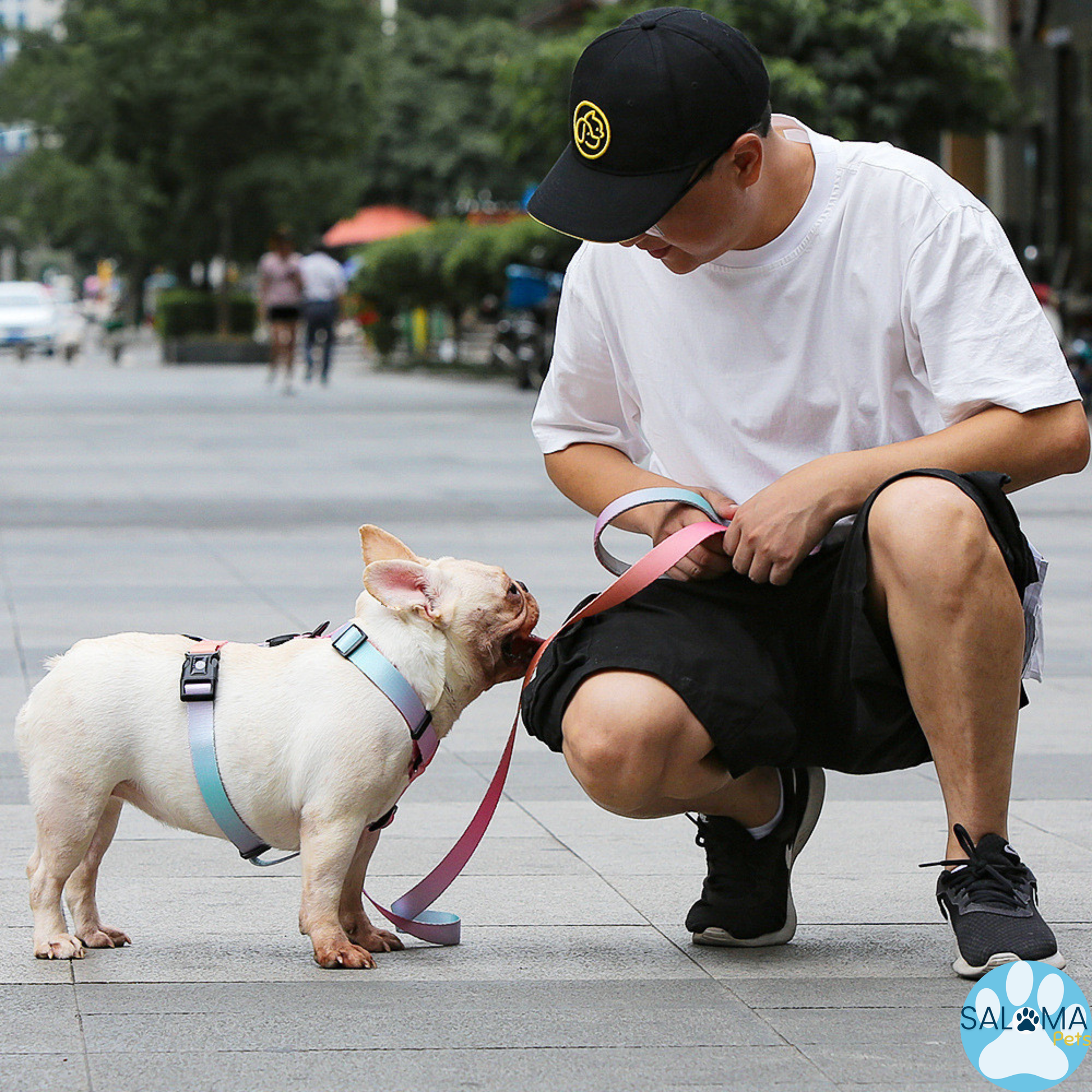 Arnés y Correa para Perros Pequeños y Medianos