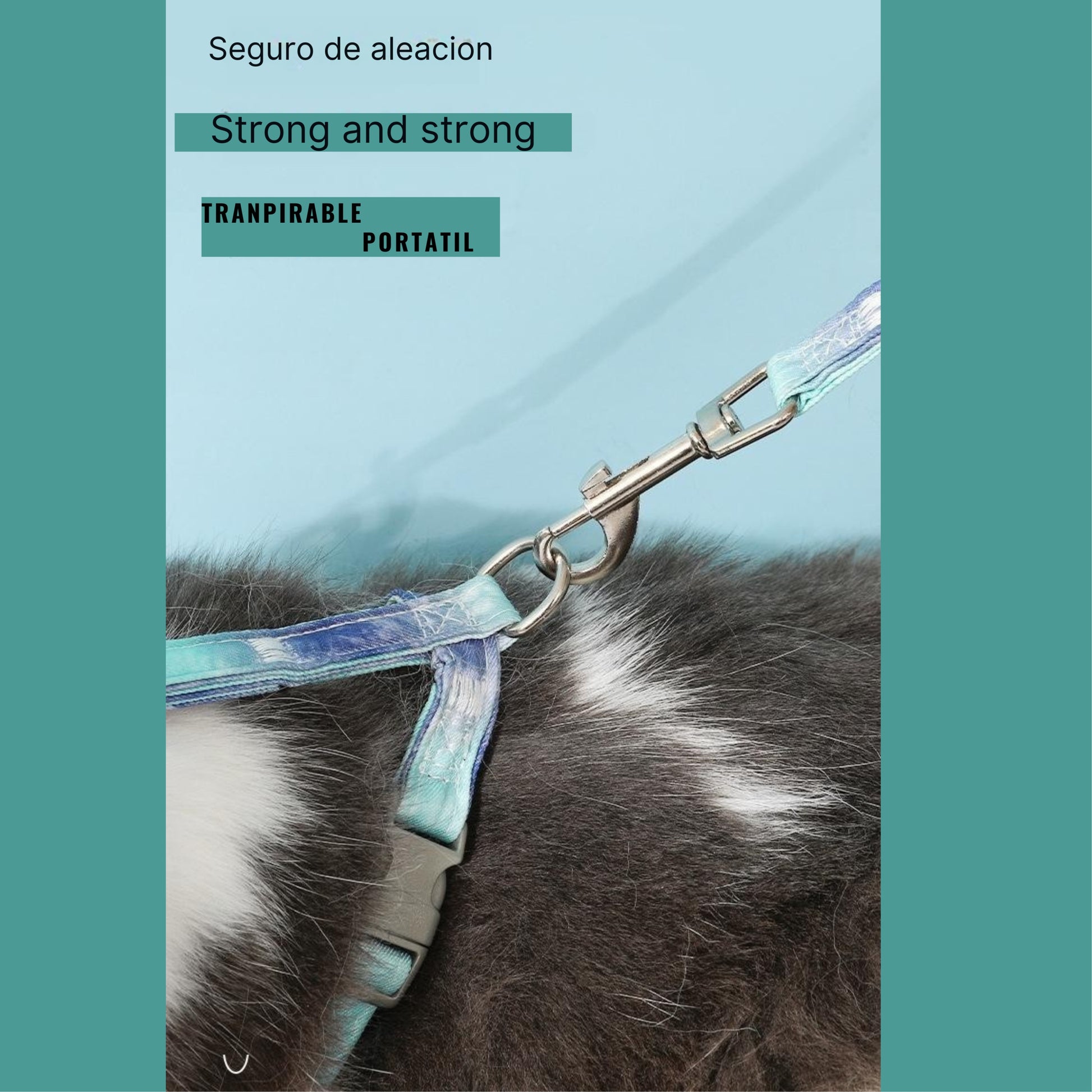 Arnes con Forma-I para Gatos