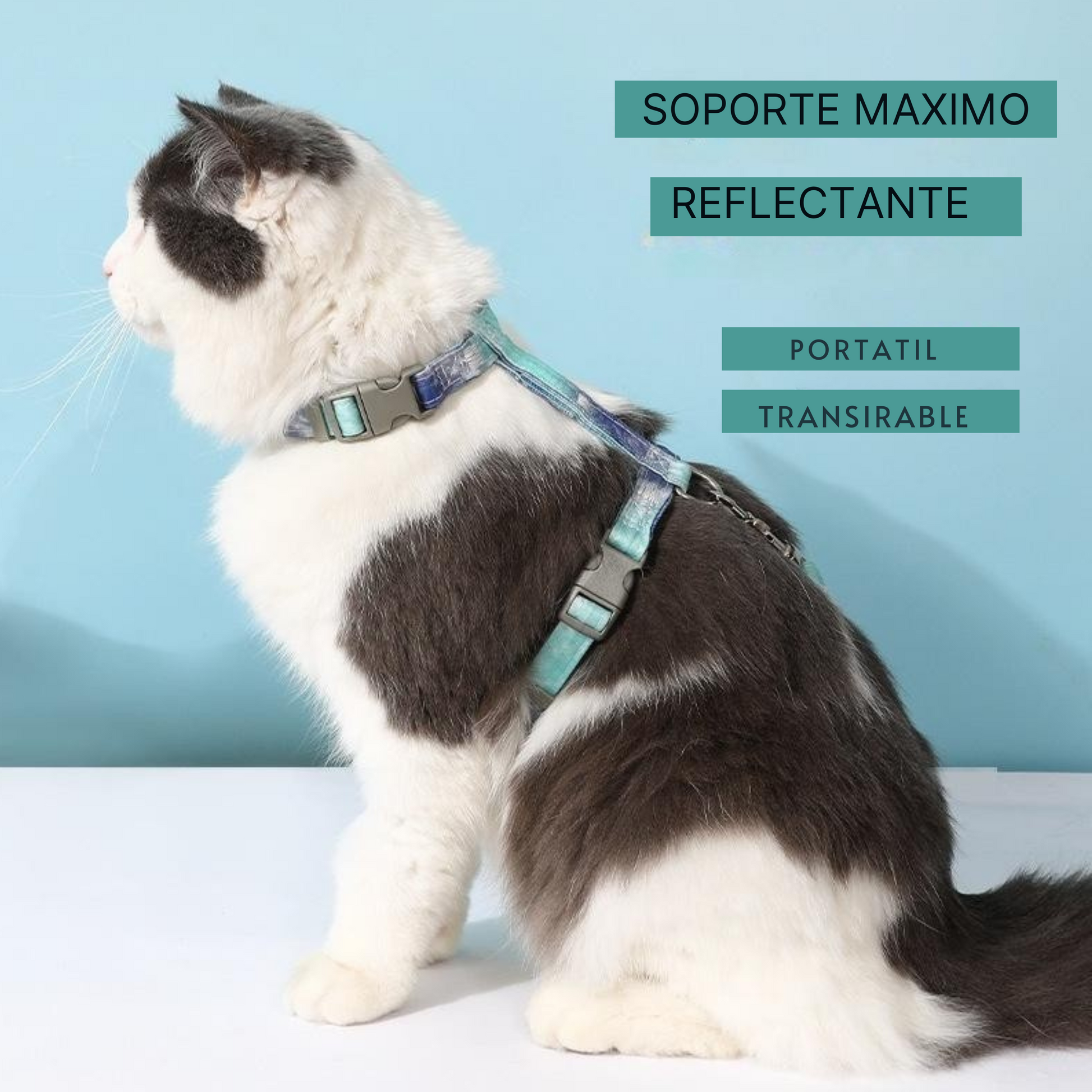 Arnes con Forma-I para Gatos