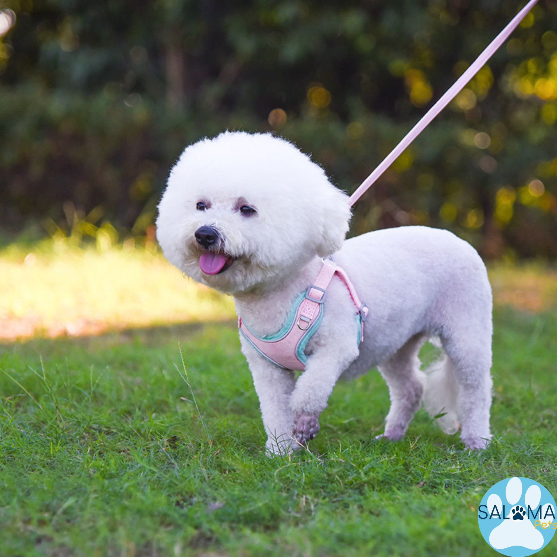 Arnés Cómfort Ajustable con Correa