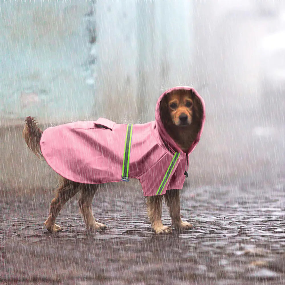 Chaqueta Impermeable Reflectante para Perros y Abrigo Externo