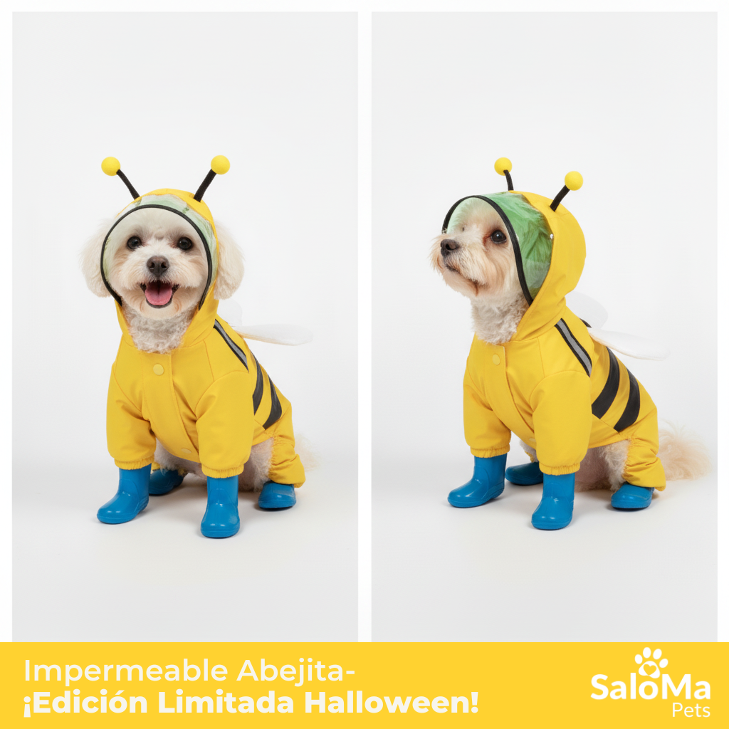 Impermeable Abejita para Cachorros y Perros