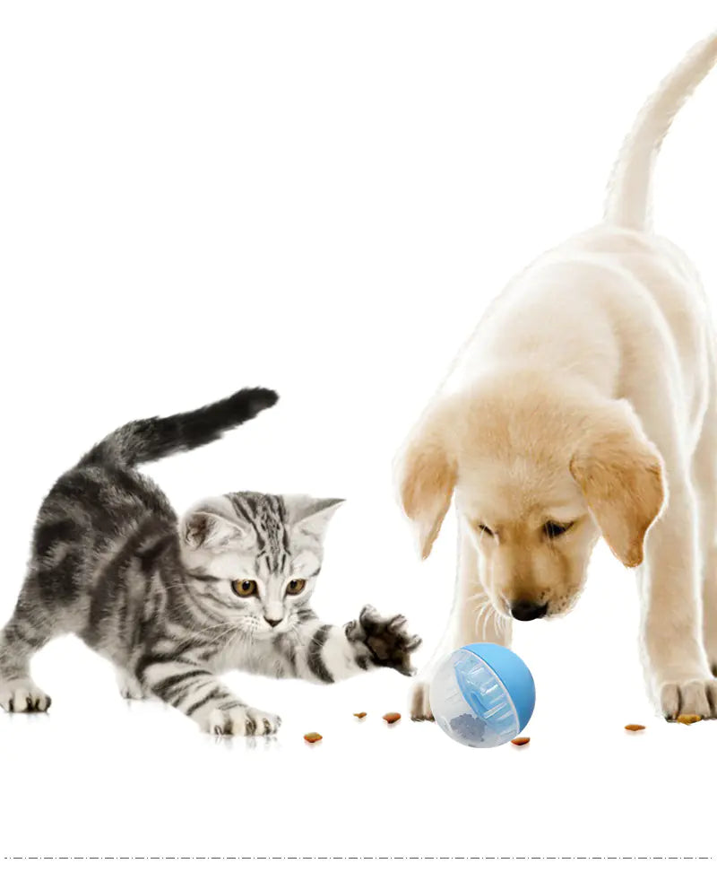 Juguete Bola dispensadora de Alimentos para Perros y Gatos