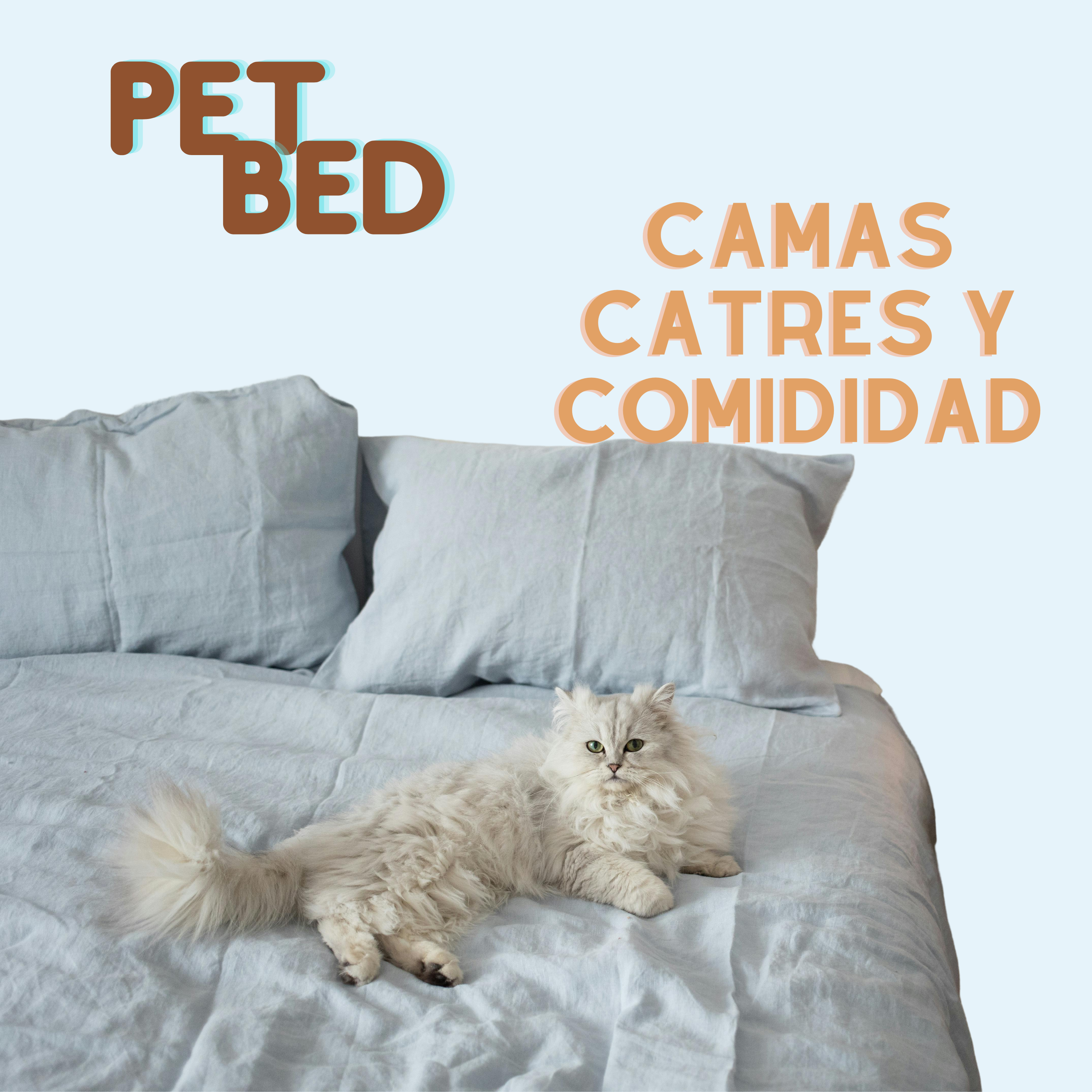 PET BED