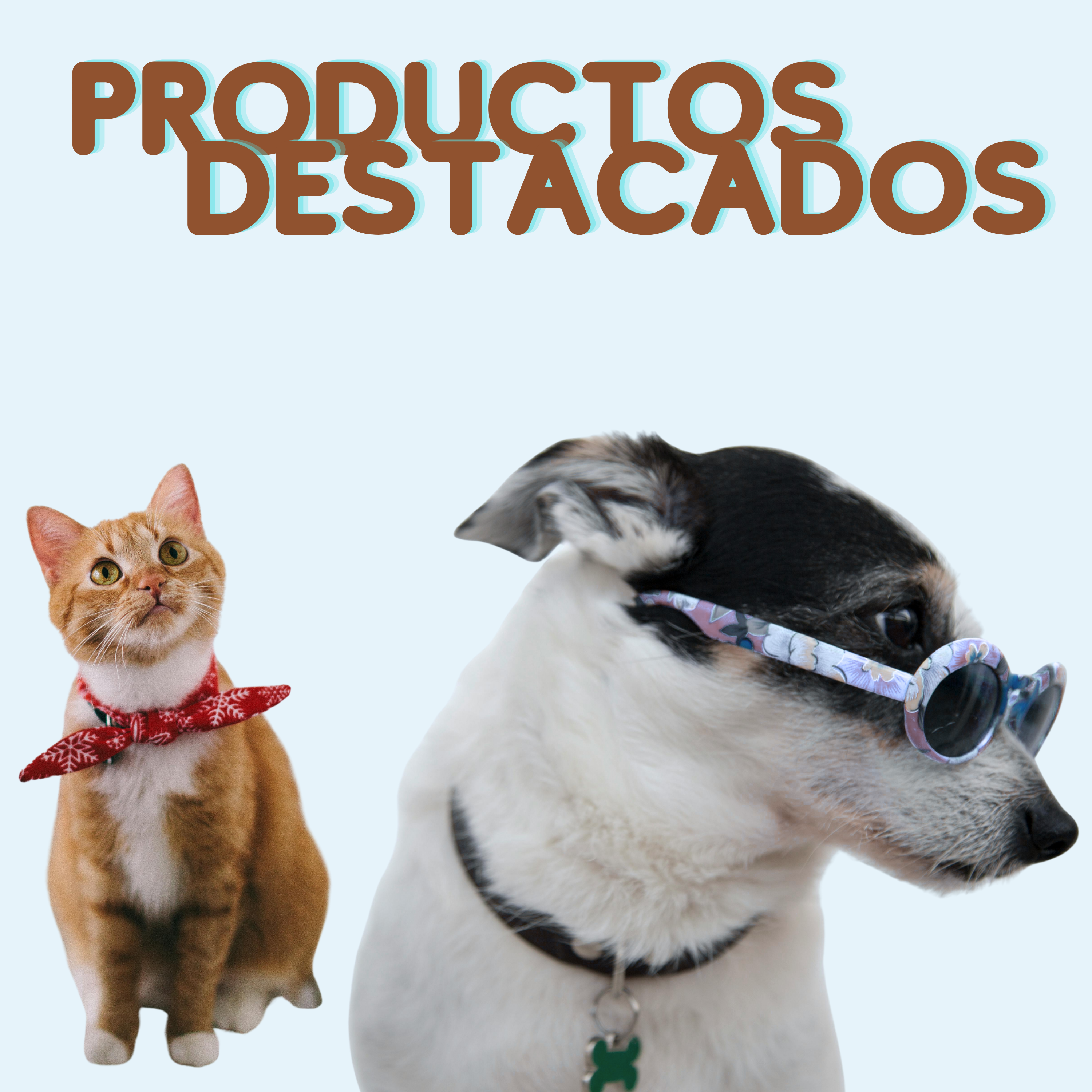 Productos Destacados