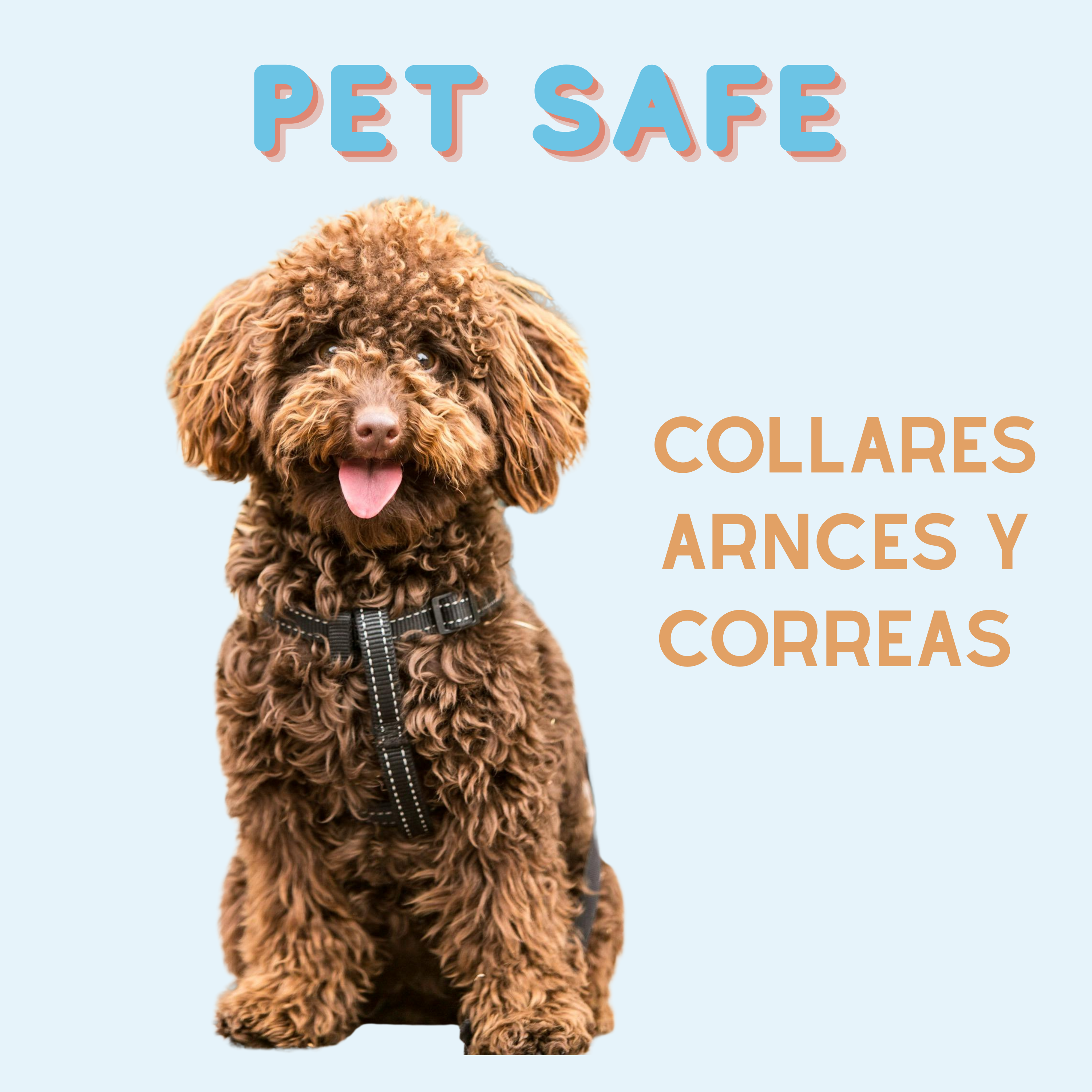 Pet Safe