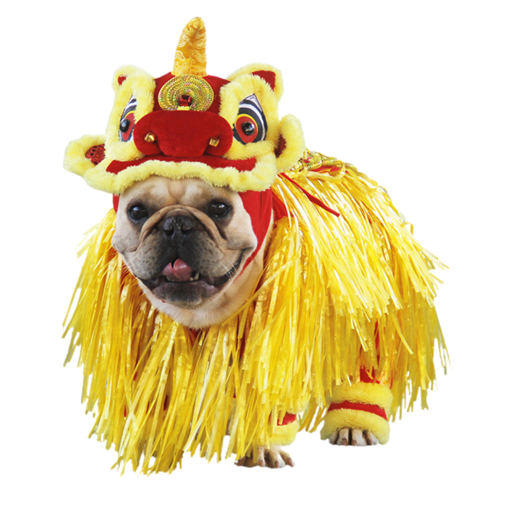 Disfraz de Dragon Chino Jizai para Mascotas