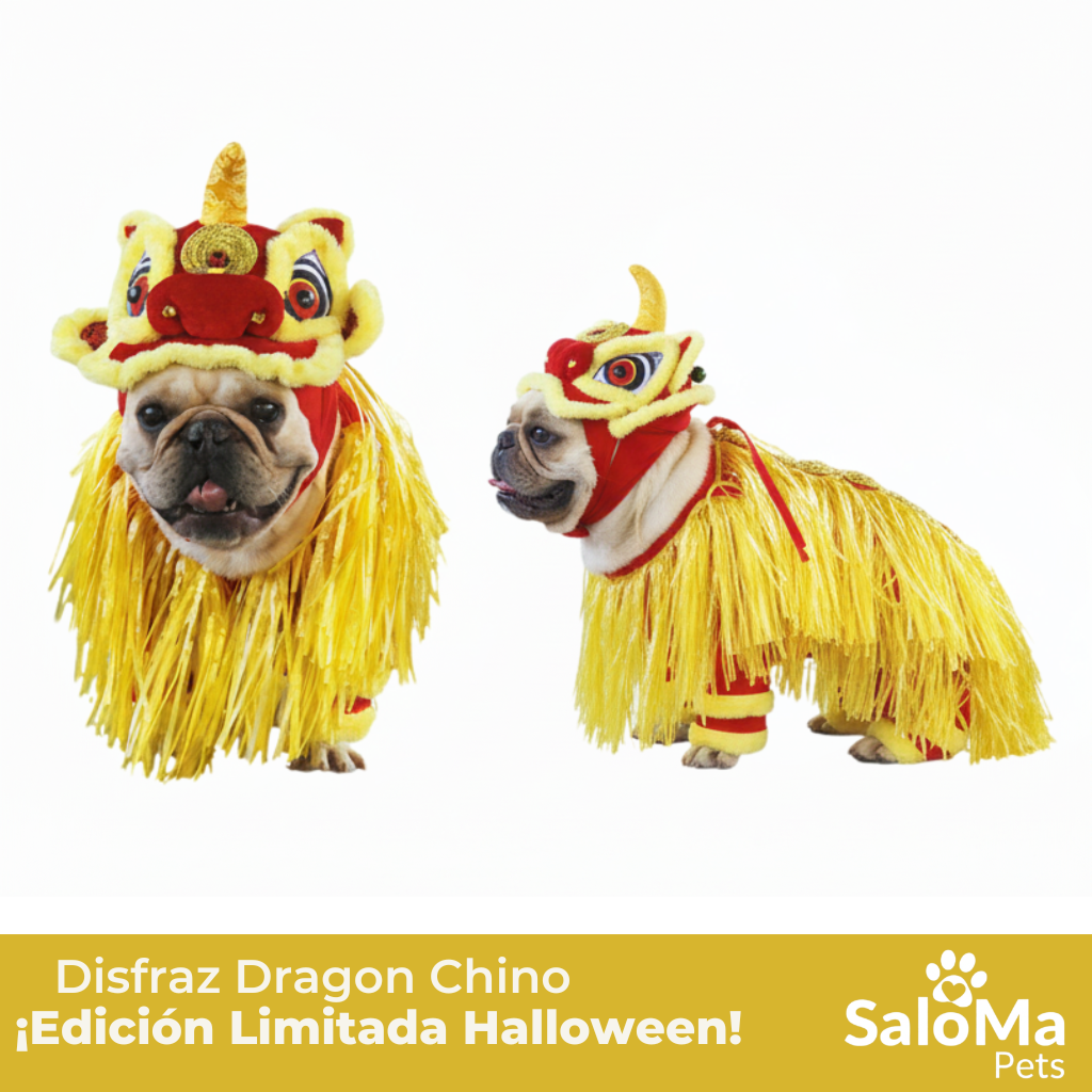 Disfraz de Dragon Chino Jizai para Mascotas