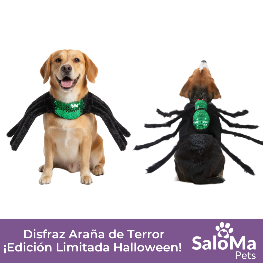 Disfraz Araña de Terror - Edición Halloween