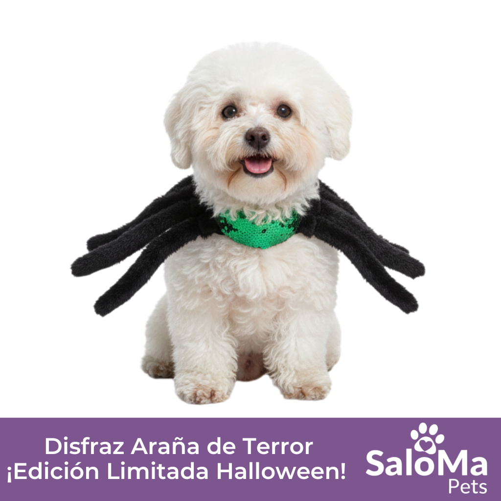Disfraz Araña de Terror - Edición Halloween