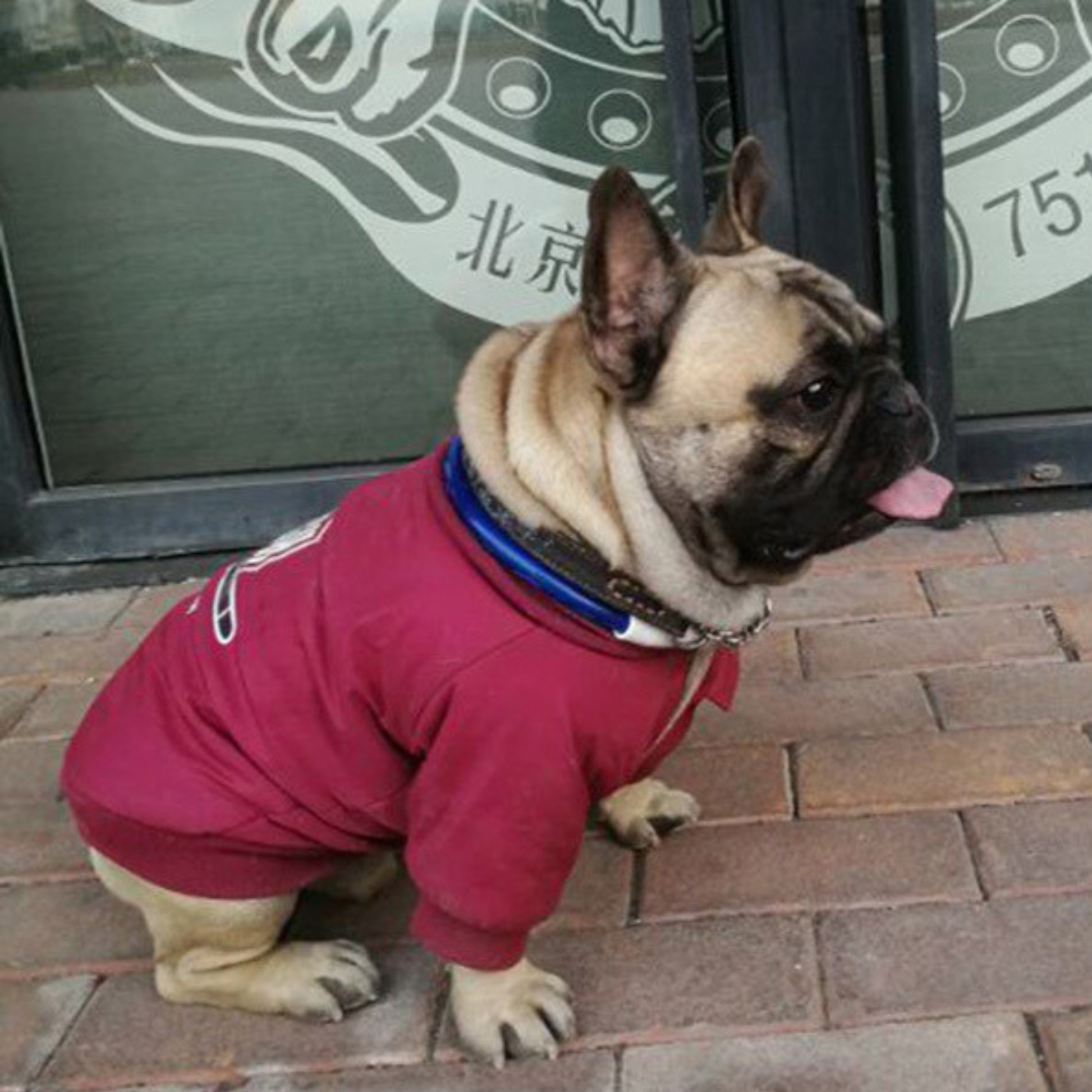 Chamarra Fly High Comfort