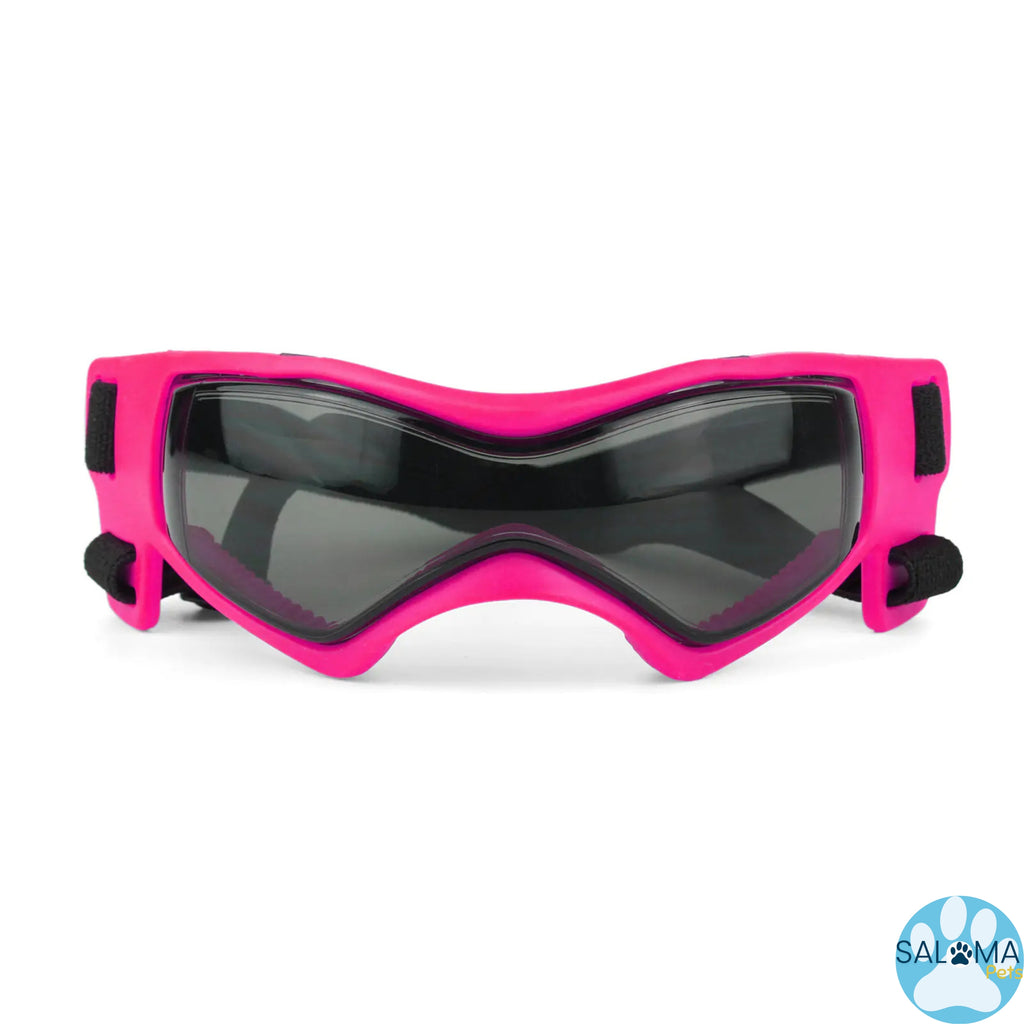 Gafas para Perros ANTI Rayos UV.