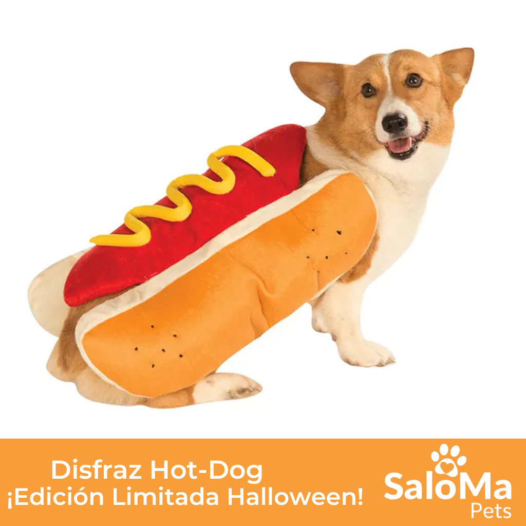 Disfraz Hot Dog en Halloween