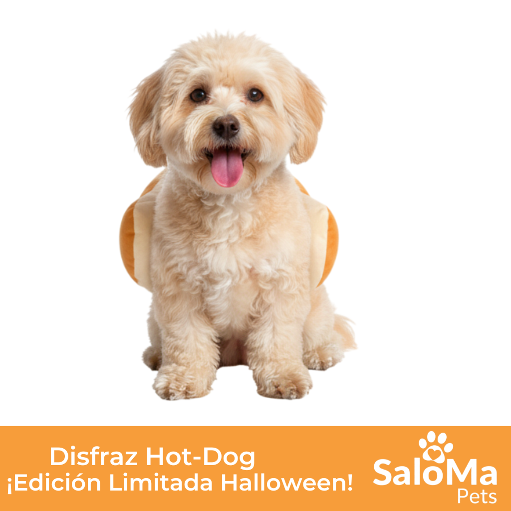 Disfraz Hot Dog en Halloween