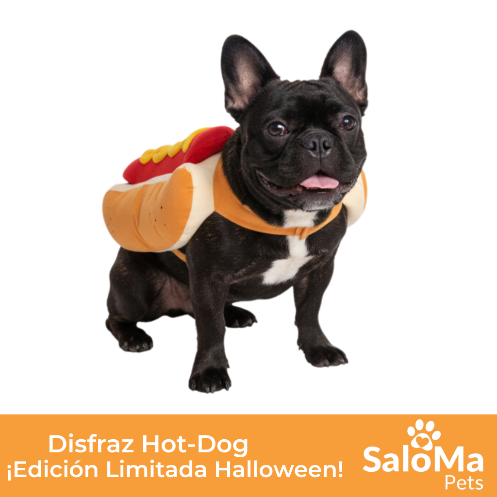 Disfraz Hot Dog en Halloween