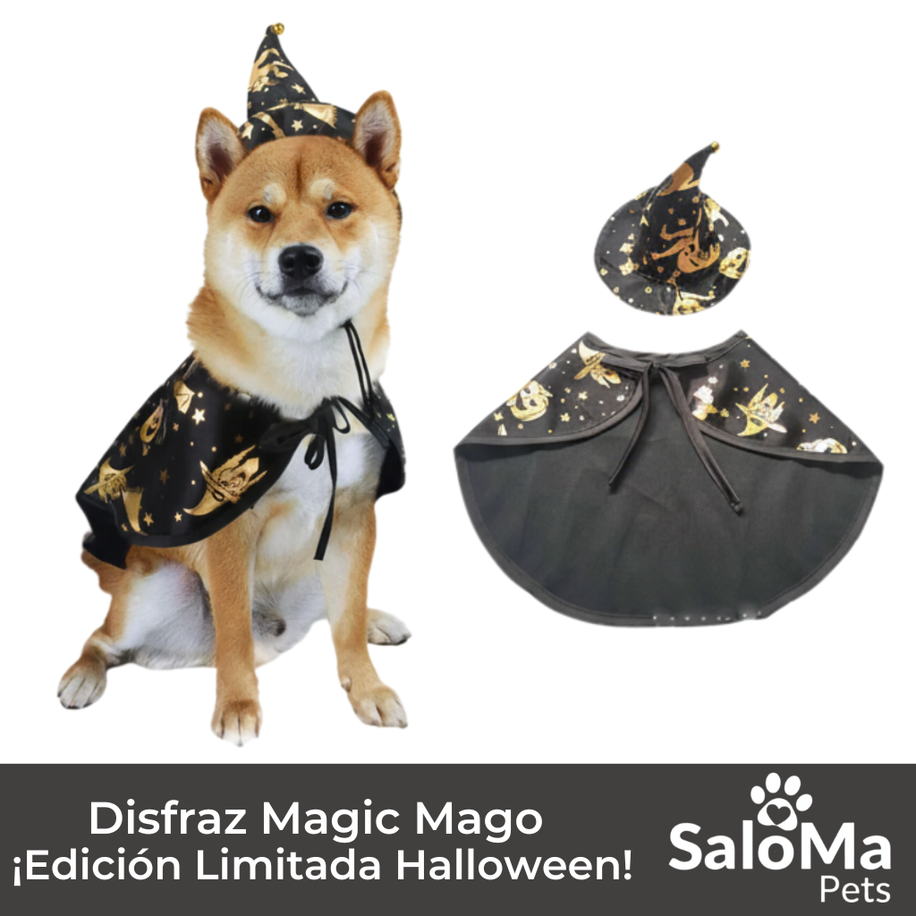 Disfraz Magic Mago - Edición Halloween