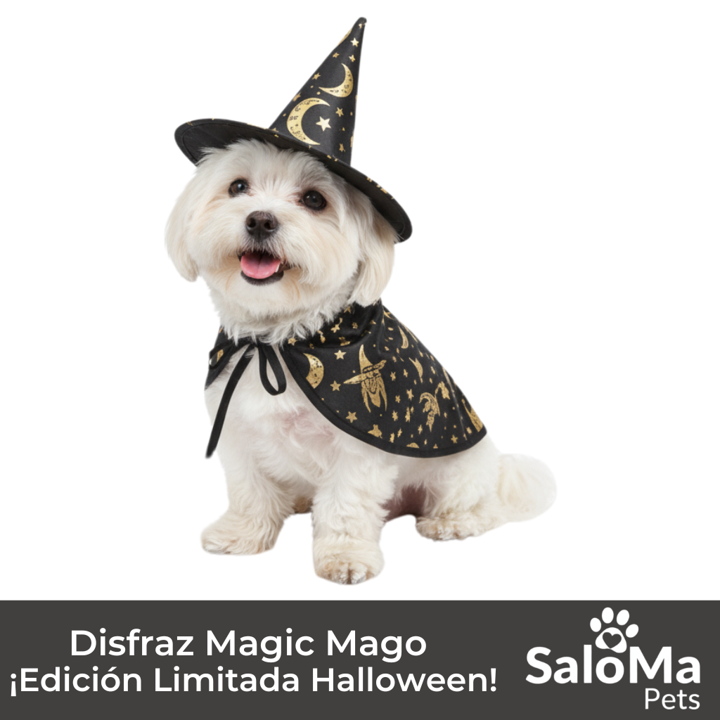 Disfraz Magic Mago - Edición Halloween