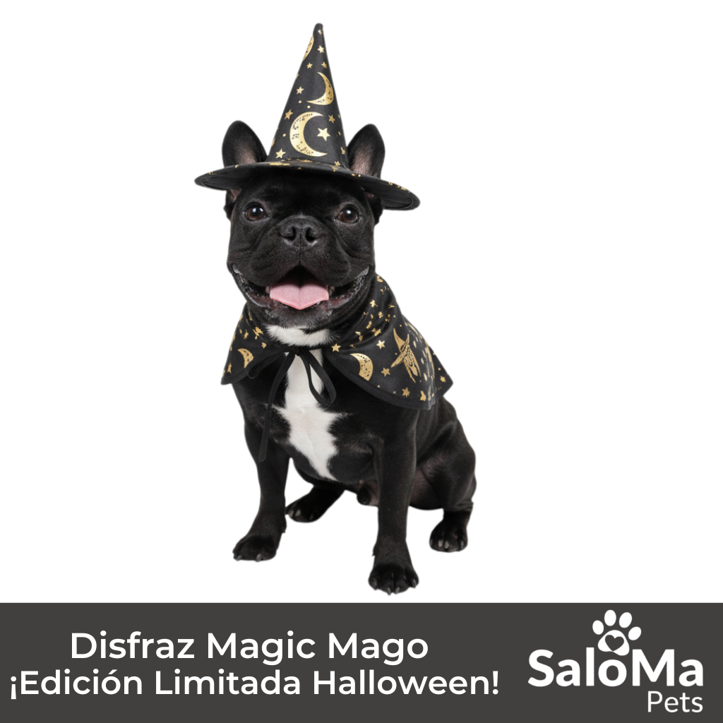 Disfraz Magic Mago - Edición Halloween