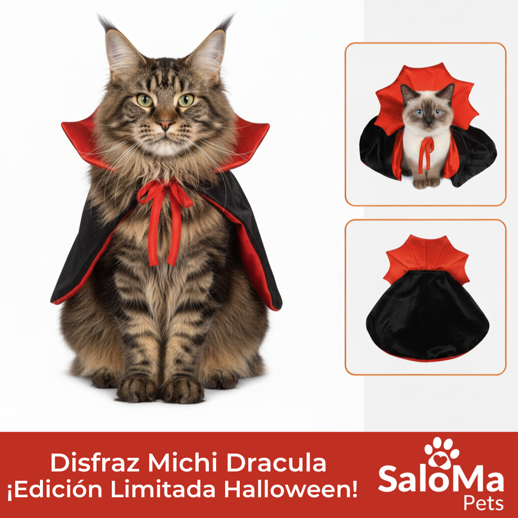 Disfraz Michi Drácula - Edición Halloween