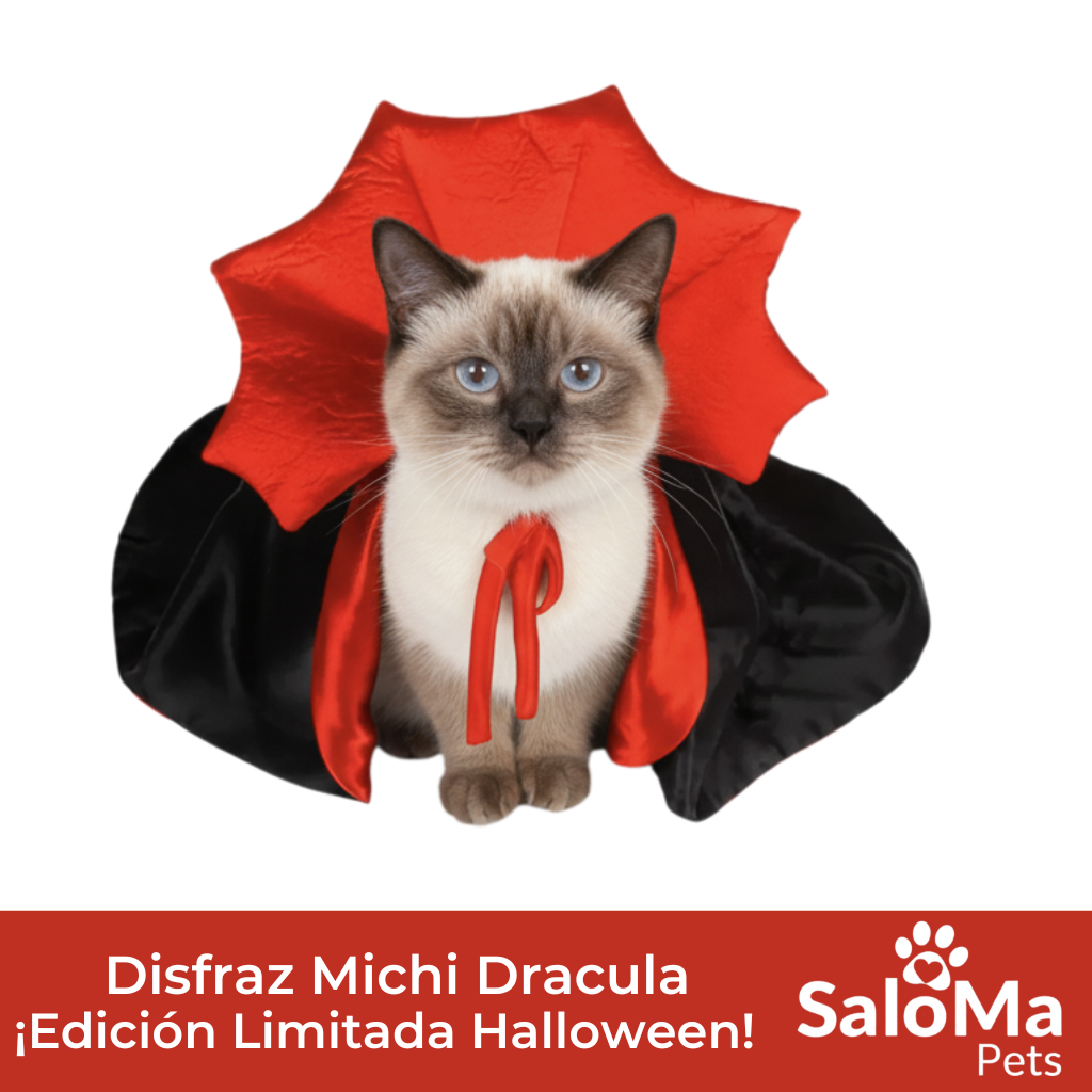 Disfraz Michi Drácula - Edición Halloween