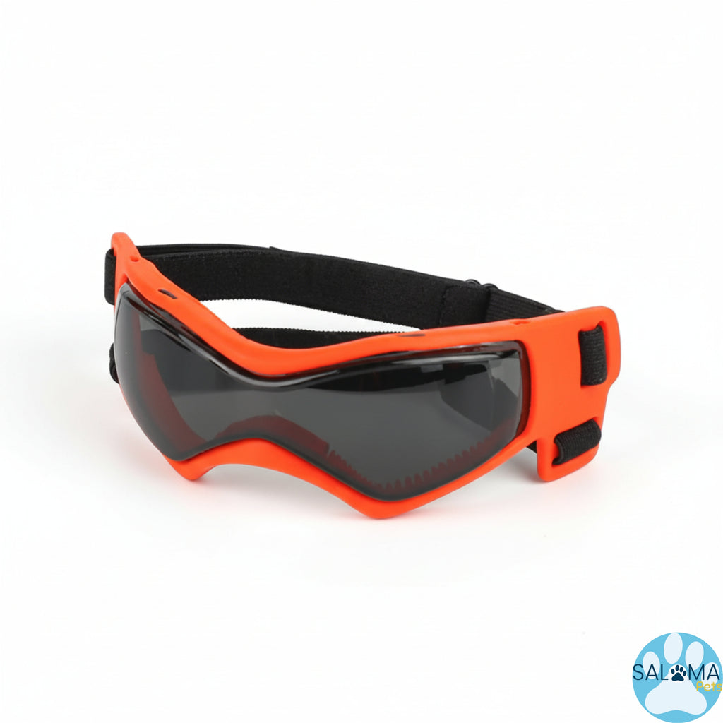 Gafas para Perros ANTI Rayos UV.