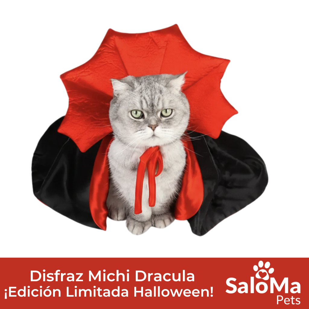 Disfraz Michi Drácula - Edición Halloween