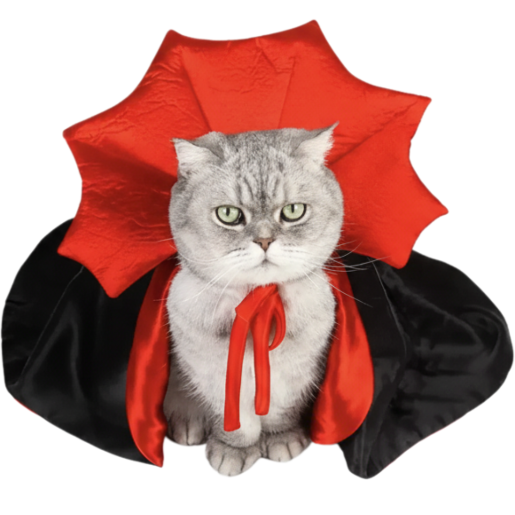 Disfraz Michi Drácula - Edición Halloween