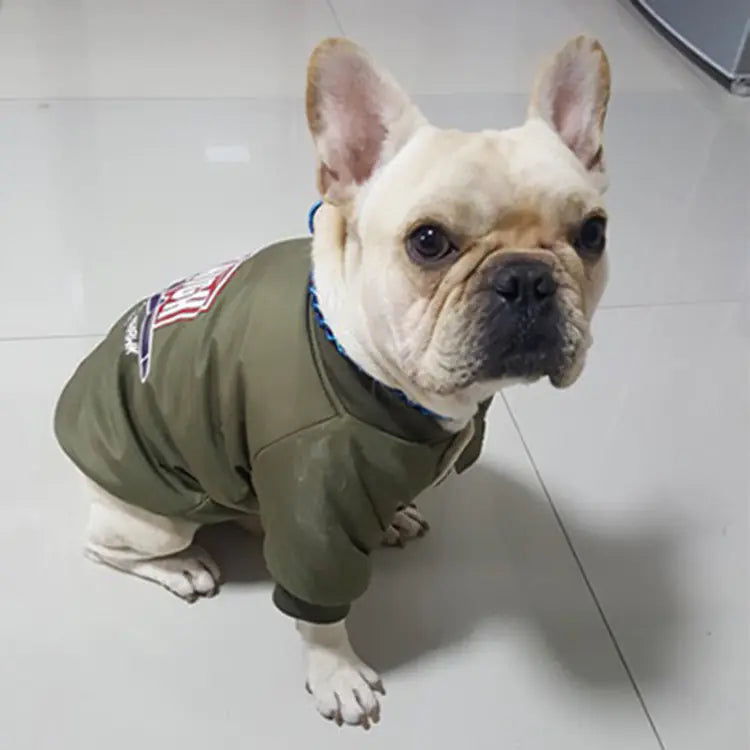 Suéter Cómodo para Mascotas