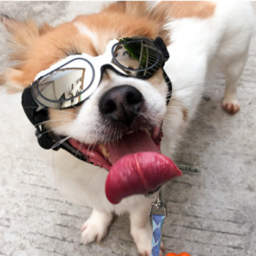 Gafas para el Sol Multicolor.