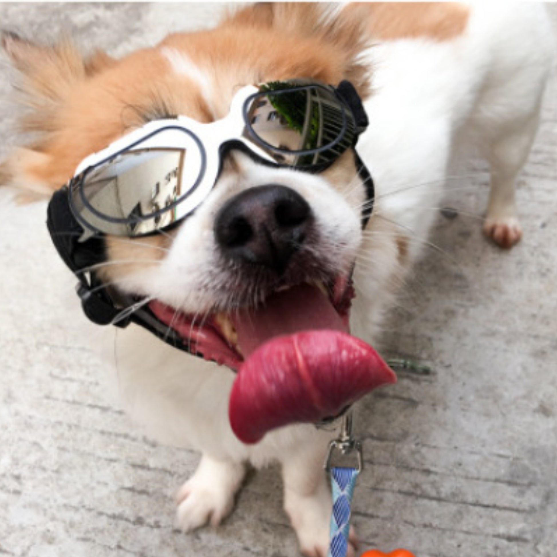 Gafas para el Sol Multicolor.