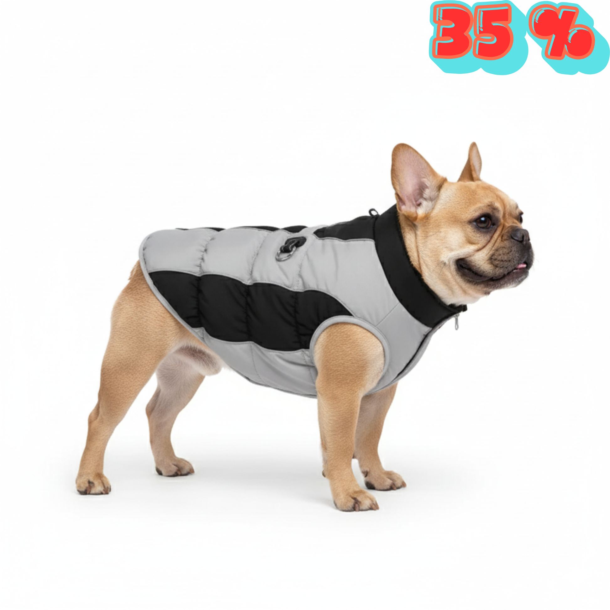 Chamarra de Invierno Anti-viento para Mascotas