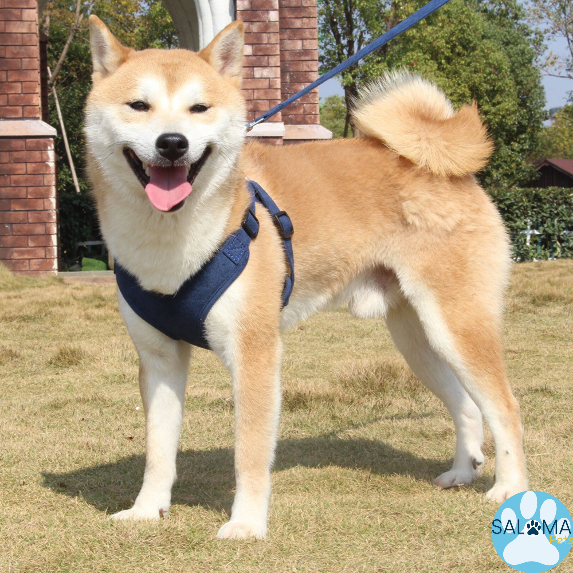 Arnés Cómfort Ajustable con Correa