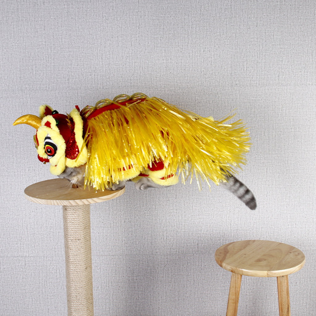 Disfraz de Dragon Chino Jizai para Mascotas