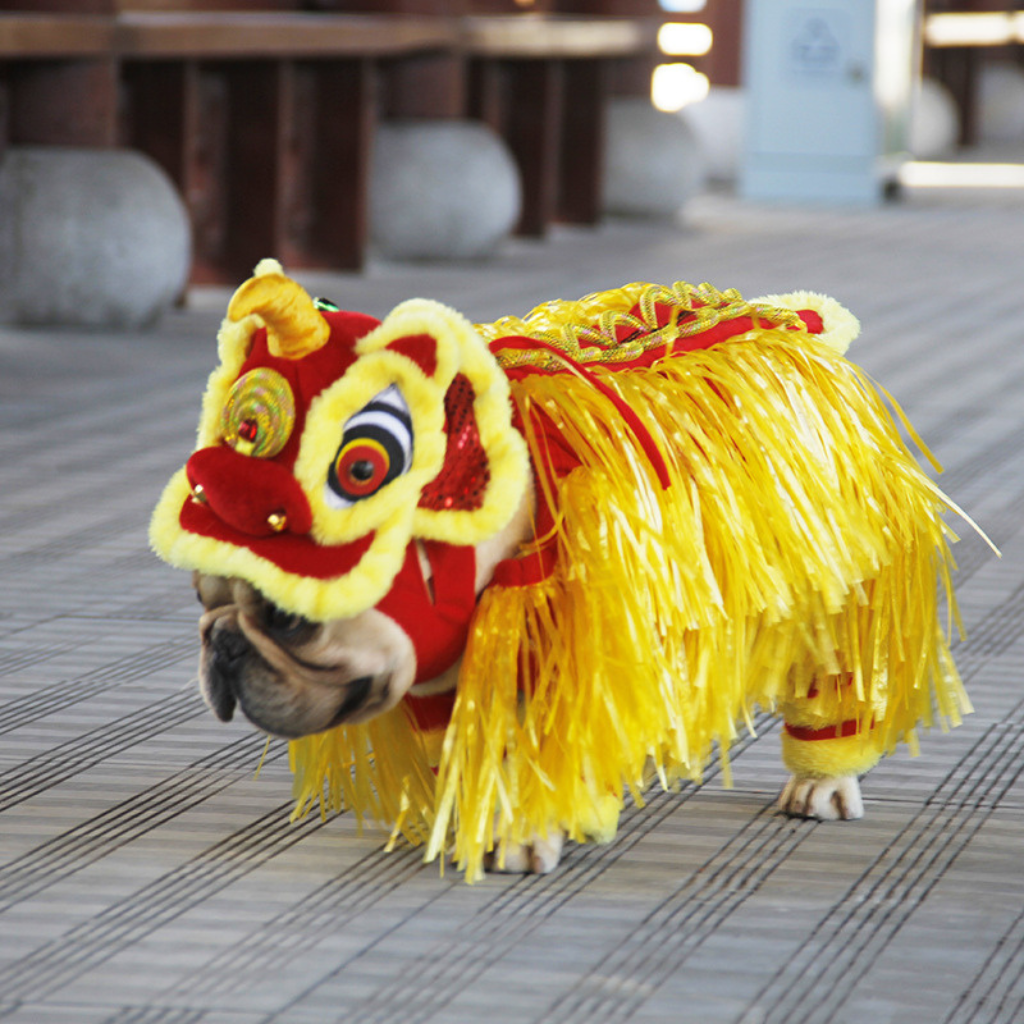 Disfraz de Dragon Chino Jizai para Mascotas