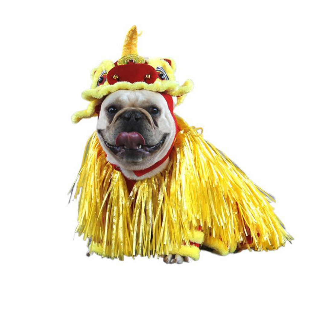 Disfraz de Dragon Chino Jizai para Mascotas