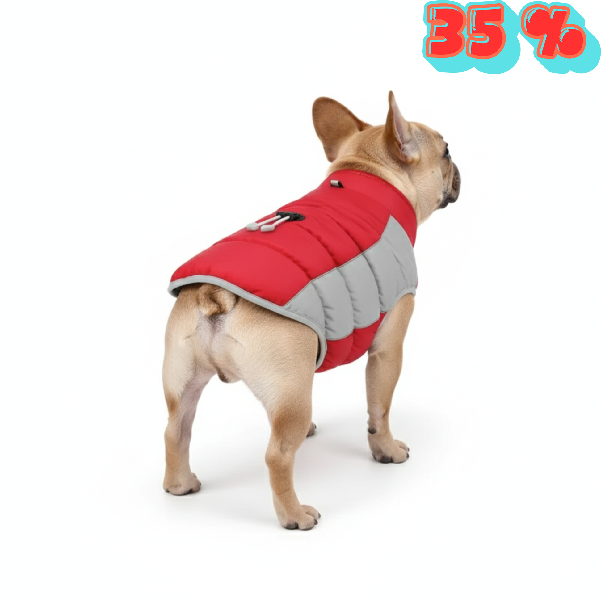 Chamarra de Invierno Anti-viento para Mascotas