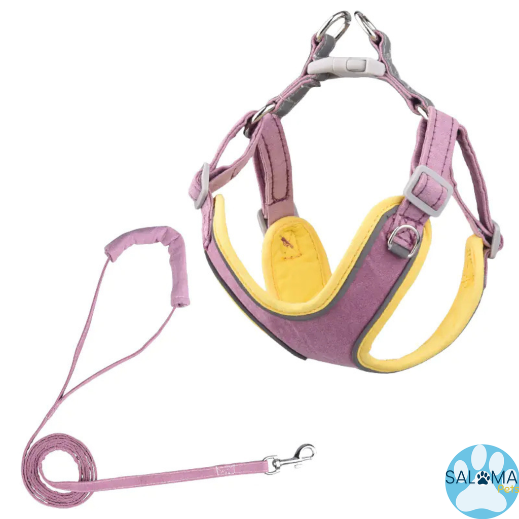 Arnés Cómfort Ajustable con Correa