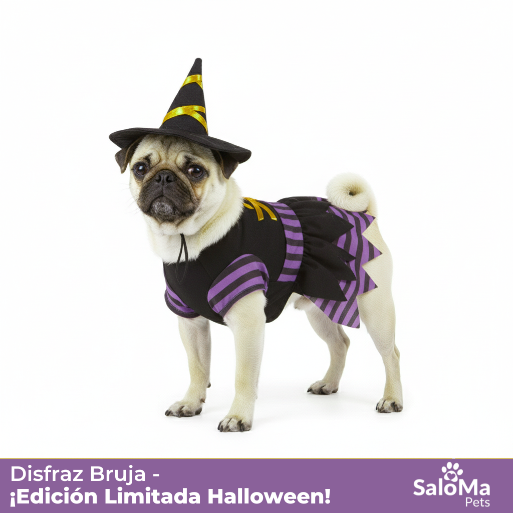 Disfraz de Brujita para Mascotas.