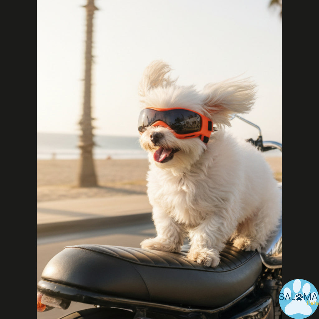 Gafas para Perros ANTI Rayos UV.