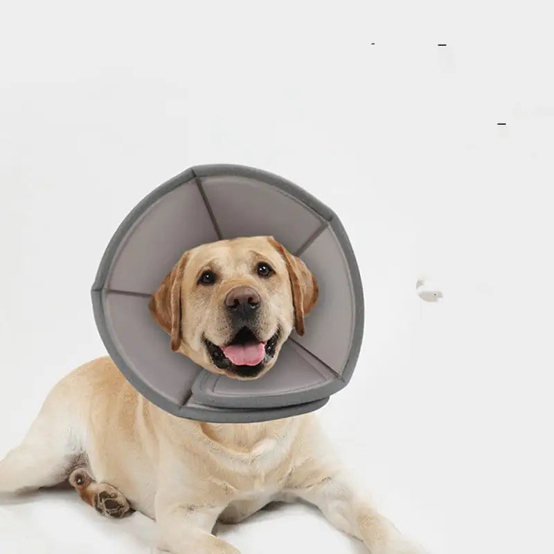 Cono para Cuello Super Suave Plegable para Prevenir Mordeduras