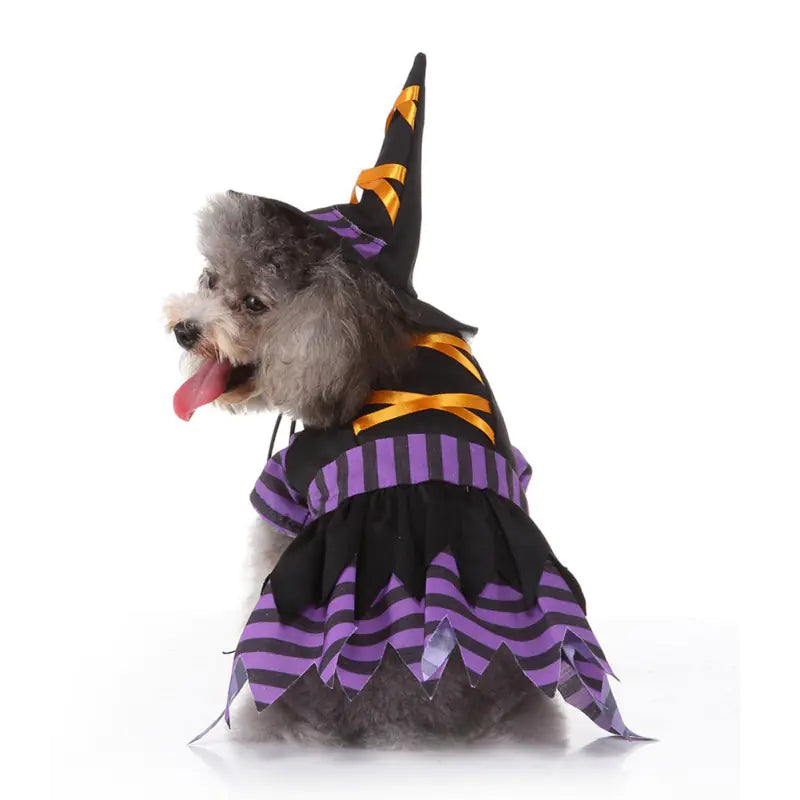 Disfraz de Brujita para Mascotas.