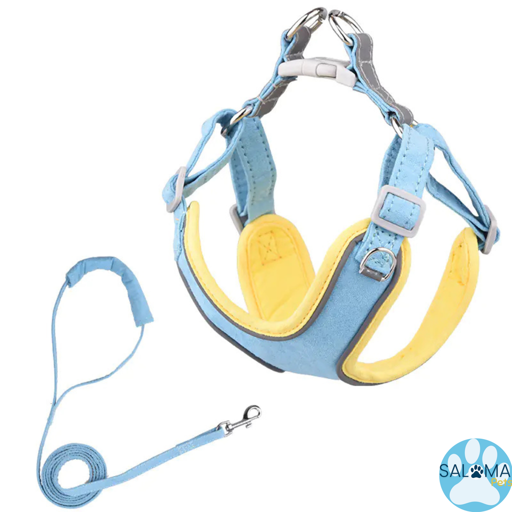 Arnés Cómfort Ajustable con Correa