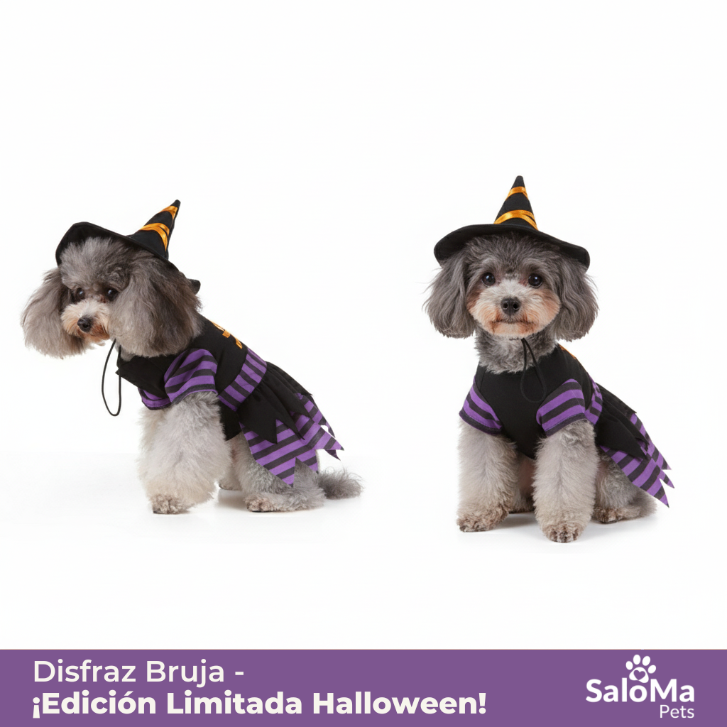Disfraz de Brujita para Mascotas.